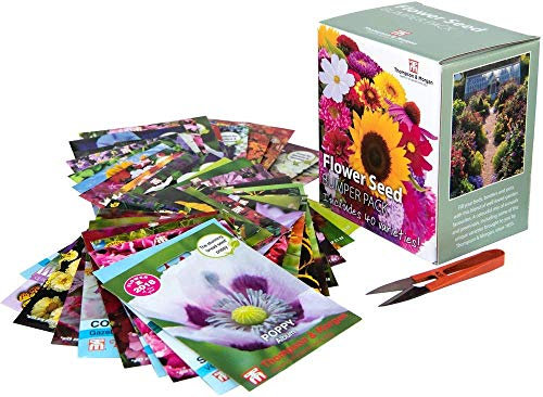 Flower Seed Box Bumper Pack Includes 40 Different Varieties Aster, Cosmos, Sunflower, Poppy, Pansy and More Plus 1 Pair of Garden Snips, 1 x Flower Seed Bumper Pack by Thompson and Morgan