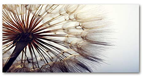 Tulup Leinwandbild - Wandkunst - Drucke auf Leinwand - Leinwanddruck -100x50 cm - Blumen & Pflanzen - Weiß - Pusteblume