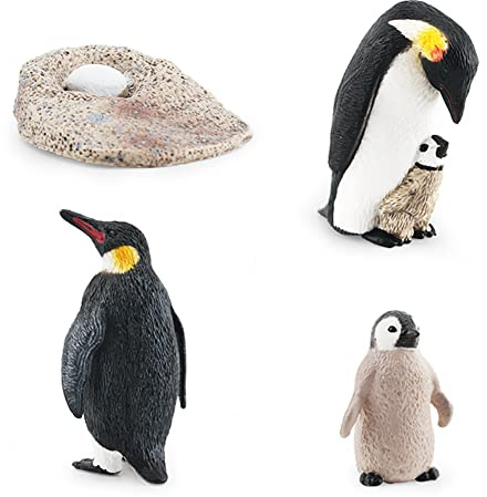 Lebenszyklus Pinguin Tierfiguren, 4-Stufige Wachstumszyklus Pinguin Realistische Lernrequisite Oktopus Schildkröte Delfin PVC Lebenszyklus Modell Pädagogisches Spielzeug für Kleinkinder und Schüler