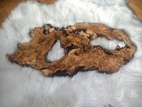 Live Edge Olive Root Slab for DIY and Epoxy Table, Ready to be Resin Table, Cleared Wood Slab for Epoxy Resin (40x50cm)