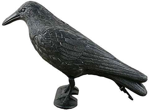 Livecitys Leurre de corbeau en plastique pour jardin - Répulsif contre les nuisibles - Noir