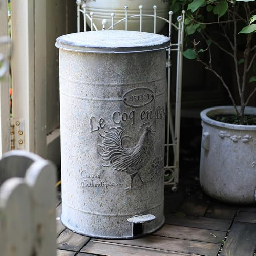 Z&Z ornamentorum Cubo de basura de cocina grande de 17 l, Contenedor Basura Retro con Pedal de Hierro para Interiores y Exteriores, Eliminación en el Jardín, Color Gris y Azul