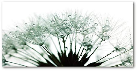 Tulup Leinwandbild - Wandkunst - Drucke auf Leinwand - Leinwanddruck -100x50 cm - Blumen & Pflanzen - Weiß - Pusteblume