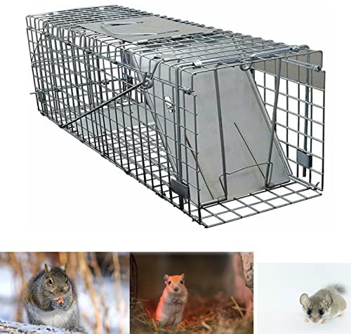 Lebendfalle Humane Rattenfalle, Leichte Mäusekäfigfalle Zum Töten Von Ratten, Indoor/Outdoor Leicht Freizulassende Mäusekiller Vogelkäfigfalle Mit Langlebigem Verzinktem Drahtgeflecht Für Eidaechsen