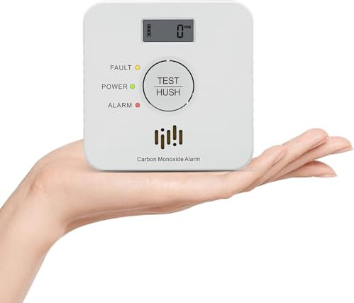 Ruan Carbon Monoxide Alarm with LCD Display 10 Years Life CO Detector with Test Button Compliant Passed the EN50291 standard