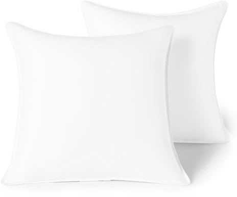 Amazon Basics Coussins de Garnissage hypoallergénique en Microfibre, Decoratifs pour Canapes, Oreillers Intérieur, Rembourrage Coussin, 45 x 45 cm, Blanc, Lot de 2