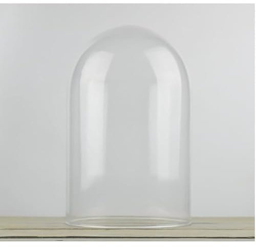 EMH Campana in vetro per esposizione a cupola, altezza: 35 cm x 18 cm
