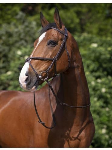 RIDING WORLD Trense Reithalfter