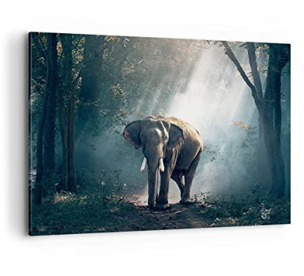 Bilder auf Leinwand 100x70cm Leinwandbild mit Rahmen elefant natur Groß Wanddeko Bild Schlafzimmer Küche Deko Wandbilder Dekoration Wohnzimmer Wall Decor Canvas Wand Kunstdruck Art AA100x70-3972