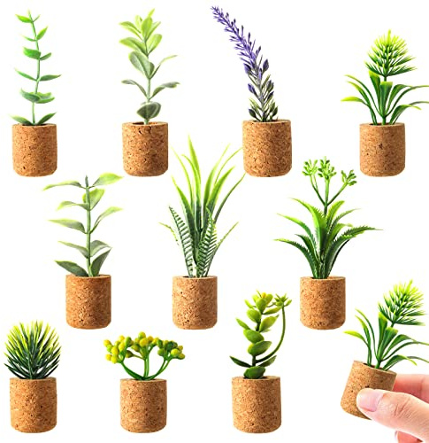 JUSTDOLIFE Mini-Sukkulenten-Kühlschrankmagnete, künstliche Pflanzen, Sukkulenten mit Topf, niedlich, für Magnettafeln, Kühlschrank, Zuhause, Büro, Dekoration