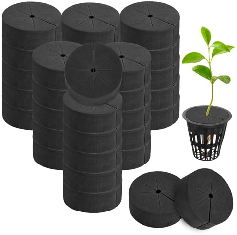 M METERXITY 30 Unidades De Insertos para Clonación De Plantas, Sistemas De Hidroponía con Esponjas para Clonadores De Espuma DIY, Compatibles con Macetas De Red De 2 Pulgadas [Negro]