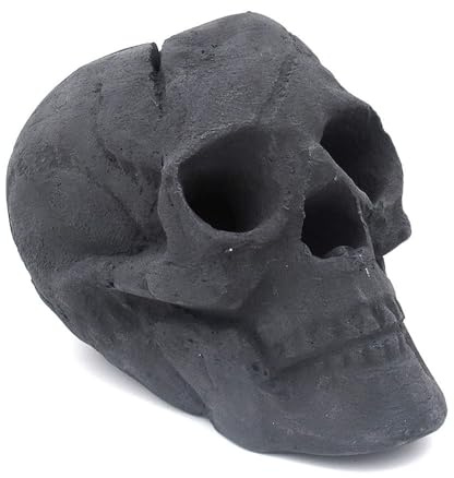 Braciere di Halloween con teschio, braciere refrattario in ceramica, per falò, falò, camino, focolare, focolare, decorazione di Halloween (nero x 1,16,5 x 12,5 x 22,5 cm)