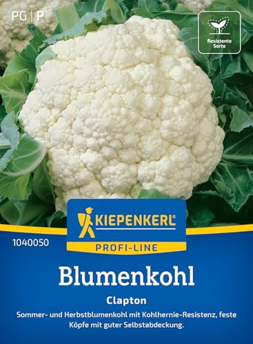 Kiepenkerl Profi-Line Blumenkohlsamen Clapton 1040050 - Sommer- und Herbstblumenkohl - Kohlhernie- Resistenz - Samen Gemüse, Saatgut, Gemüsepflanzen