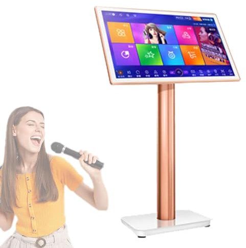Máquina de karaoke profesional KTV, sistema de karaoke con pantalla táctil capacitiva de 19,5/22 pulgadas con disco duro de alta velocidad de 1T, salida 4K, control de aplicación de teléfono, para f