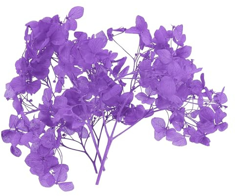 PATIKIL Fleur D'Hortensia Séchée, 10g Fleurs Pressées Naturelles Pétales D'Hortensias Réels DIY Résine Artisanat Floral Bougie Ornementation, Violet
