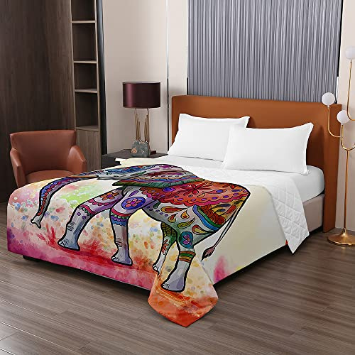 Odot Colcha Bouti de Verano, 3D Elefante Estampado Suave Microfibra Multiusos Cubrecama Lavable Acolchada Edredón Manta para Cama de Infantil Individual Matrimonio (150x200cm,Pintada)