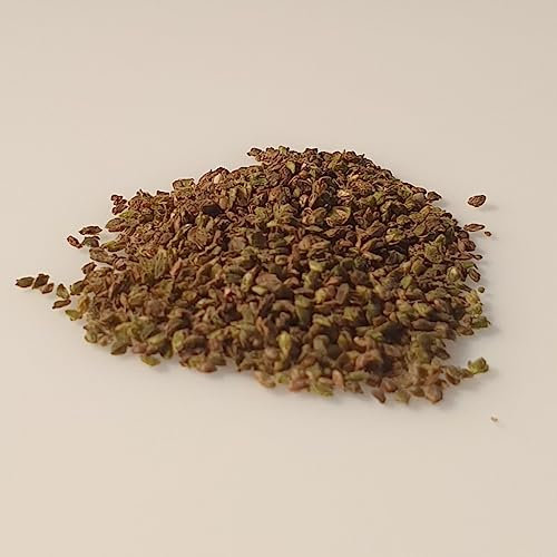 500 graines à semer - Le Grenier d'Abondance - ORTIE - Urtica Dioica