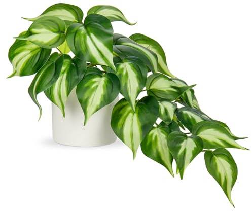 Hollyone Künstliche Pflanzen in Keramiktöpfen, Fake Jade Pothos Dekorative Pflanzen Künstlich in Weiß Töpfen, Wie echte Künstliche Pflanzen für Haus, Tisch, Büro, Schreibtisch Deko