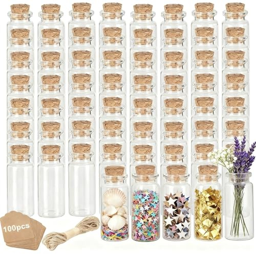 1ZIZIFA8 Mini Glass Jars, 100 Pcs 10 ml Small Sample Jars with Cork Lids, Tags & Twine for DIY Carft, Wedding Favors, DIY Message