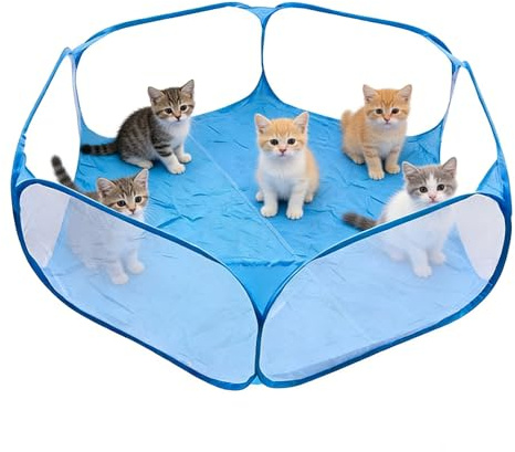 Box per animali domestici di piccola taglia, 120 x 120 x 38 cm recinto per cani da interno Trasparente Recinzione per Gatti, Criceto, Furetti, Cincillà, Conigli, Ricci