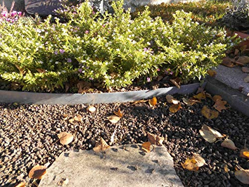 Rasenkante 10 m verzinkt Beeteinfassung Beetumrandung Mähkante Metall Palisade neu