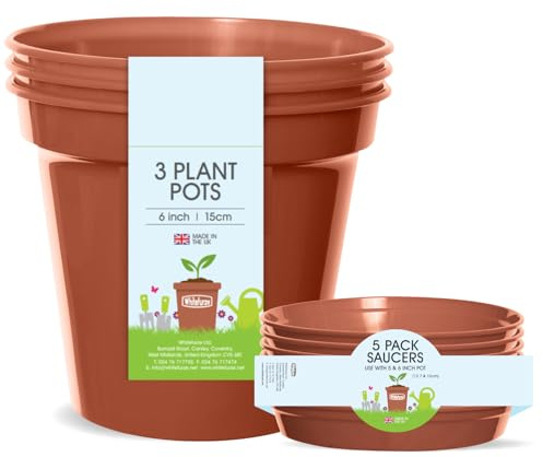 Whitefurze Ensemble de Plantes, Pots et soucoupes, 15 cm
