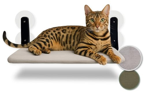 PiuPet® Hamac pour Chat Fenêtre - Chaise Longue Pliable - Lit Gris & Vert | Lit suspendu réversible été/hiver avec ventouses puissantes, cadre acier stable et design pliable, supporte 20 kg.
