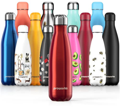 Proworks Edelstahl Trinkflasche | 24 Std. Kalt und 12 Std. Heiß - Premium Vakuum Wasserflasche - Perfekte Isolierflasche für Sport, Laufen, Fahrrad, Yoga, Wandern und Camping - 500ml - Rot