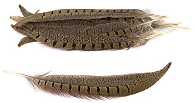 10 Fasanenfedern Natur // Federn Fasan Schmuckfedern Bastelfedern Dekofedern Vogelfedern (20-25cm)