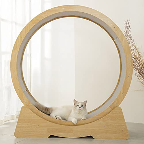 GLJTUO Laufband Für Katzen Aus Holz, Robustes, Leises Laufband Zum Abnehmen Mit Bremse Und Kleinem Spalt, Katzenlaufrad Für Hauskatzen,S-Diameter 90cm(35 3/8