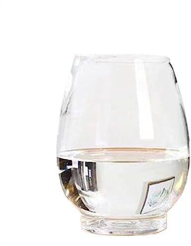 CJHFR472SG Terrarium Aquarium Transparent Oval Kleines Aquarium Glas Schildkröte Tank Ökologisches Aquarium Wasserpflanzen Home Desktop Ornamente Insekten Schildkröten(Groß)
