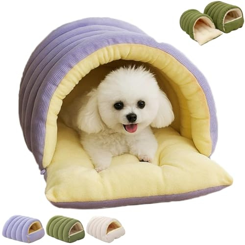 Lit pour chat monstre douillet, lit caverne pour chat et petit chien avec coussin amovible, nid apaisant, lits douillets lavables en machine pour chats d'intérieur et petits chiens. ,Medium,Purple