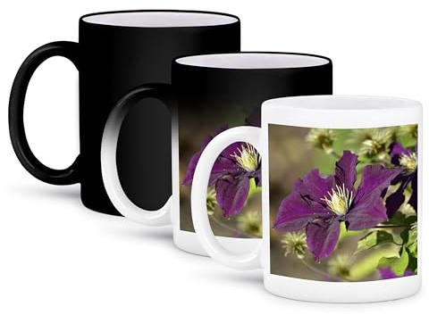3dRose Garden Flowers - Purple Clematis - Inspired Floral Print 11oz Magic Transforming Mug