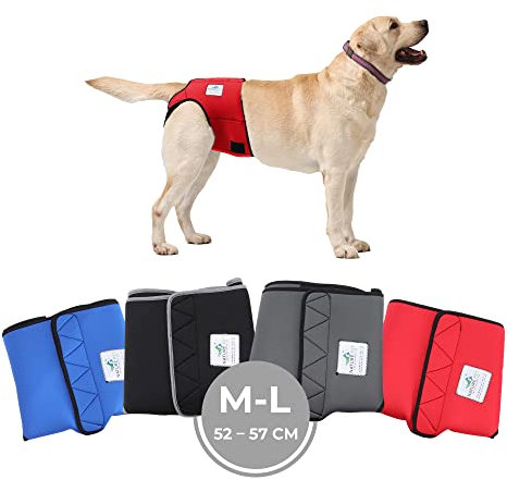 Nature Pet Läufigkeitshose für Hündinnen - Hundewindel für Rüden - Kein lästiges Einfädeln der Rute - Inkontinenz Hundehöschen (M-L-Rot)
