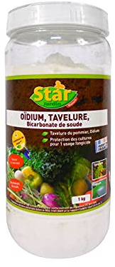 Start Anti oïdium et tavelure poudrage 1kg 1kg BCS1K