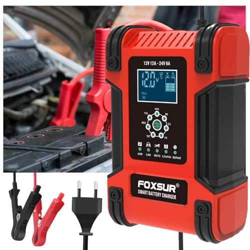 Mulcort Chargeur de voiture 12 V/12 A 24 V/6 A Chargeur intelligent entièrement automatique Entretien Chargeur portable Desolfator pour batteries de voiture Moto Camper Tondeuses à gazon Bateaux