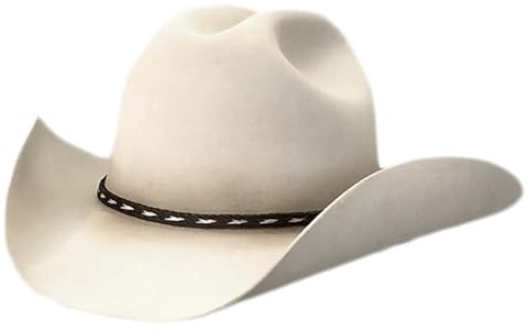 Watreketal Cowboy Hut,Cowboyhut,Fedoras,Westernhut mit kurzer Krempe,für Damen und Herren,Freizeitkleidung,Western-Fedoras für Männer und Frauen,Unisex-Kleidung