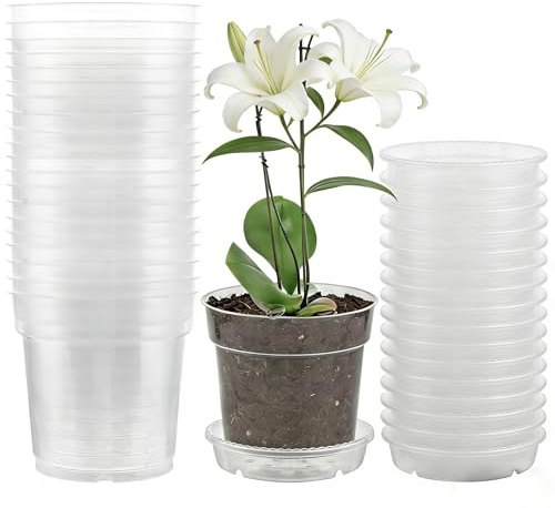 LOLYSIC 20 Stück Orchideentopf Transparent 11.5 cm mit Untersetzern – Durchsichtige Blumentöpfe aus Kunststoff, Pflanztöpfe mit Drainagelöchern für Sukkulenten, Samen, Setzlinge, Indoor & Outdoor