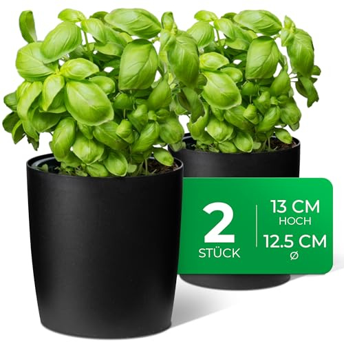 Novaliv Stilvolle 2er Set Kräutertopf aus Kunststoff Schwarz für Jede Fensterbank, frische Küchenkräuter, Kräutergarten für die küche, Kräuterbeet Indoor, Zimmerpflanzen, Pflanzentopf, Pflanzschale