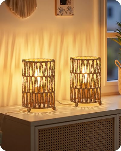 GOEBLESON Small Rattan-Style Table Lamp Set of 2, Handwoven Paper Rattan Lampshade, 4W 2400K LED Bulb Included, Boho Bedside Lamp, Desk Lamp for Living Room, Reticulated Lampshade ZH11TLKP205N1