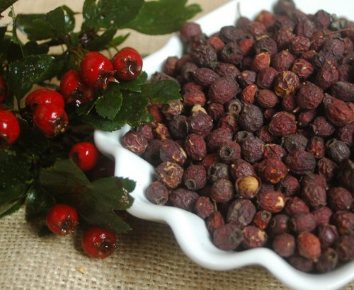 Naturix24 - Bayas de Espino 100g