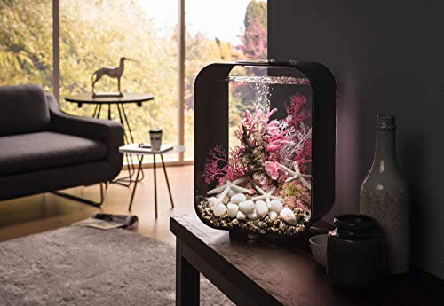 biOrb LIFE 15 MCR schwarz