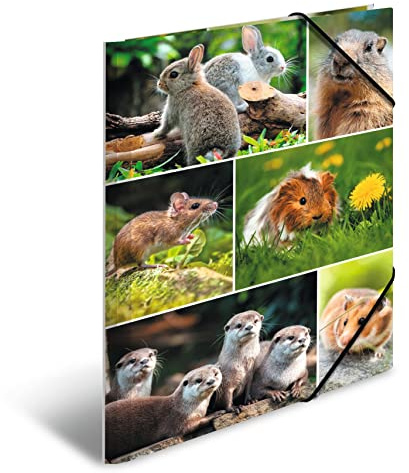 HERMA Sammelmappen A4 Nagetiere Set, 3 Stück, Kinder Eckspanner-Mappen aus Pappe mit Tier Motiv, Gummizug, Innenklappen und Innendruck für Jungen und Mädchen