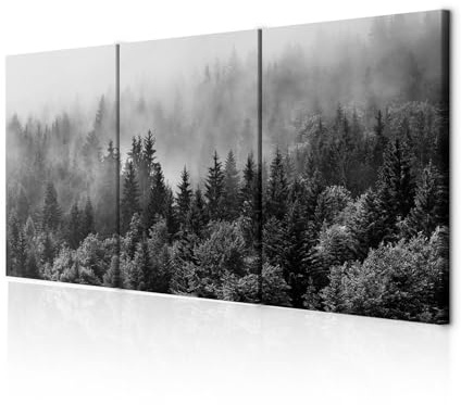 decomonkey Wandbilder Wald 120x60 cm 3 Teilig Wandbild Groß Wohnzimmer Büro | Leinwandbild XXL, Deko, Schlafzimmer, Wanddeko, Leinwand, Pictures For Wall, Poster, Wall Painting, Baum, Nebel, Schwarz-Weiß