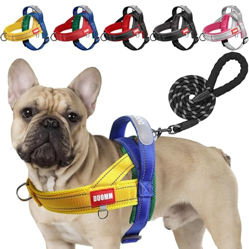 LiebeDD Hundegeschirr mit Leine für Mittelgroße Kleine Hunde Welpen, Bunt Farbblock Geschirr, Mesh Gepolstert Brustgeschirr Hund mit Griff und Brustring, Reflektierend & Leicht, GelbBlau, L