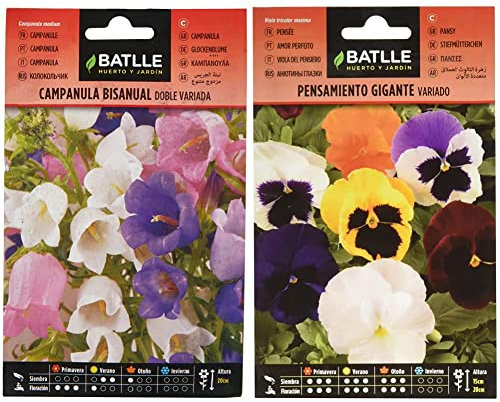 Campanula Bisanual doble variada & Pensamiento Gigante VARIADO