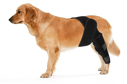 KINBOM Hunde Kniebandage Hinterbein, Hunde Hinterbein Bandage Hunde-ACL-Klammer Hinterbein Hunde-Kniestütze für Hunde-ACL-Klammer Hinterbein (Schwarz, Größe L)