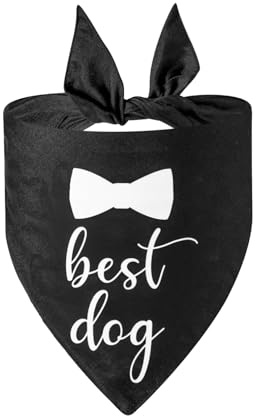 Hundehalstuch mit Fliege, Dreieckstuch für Hochzeit, Verlobung, Hochzeit, Ankündigung, Foto-Requisiten, Hundezubehör für mittelgroße und große Hunde, Katzen, Geschenk, 70 x 48 x 48 cm, Schwarz, 1
