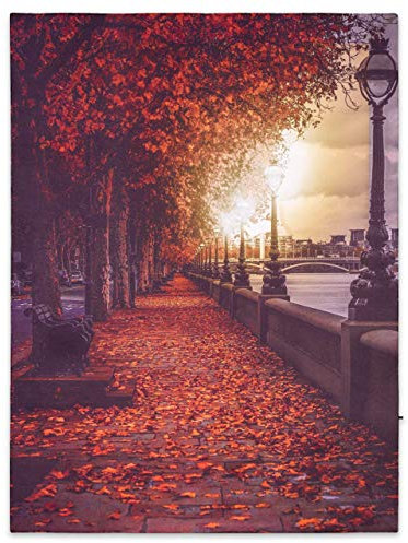 Nexos Trading LED Wandbild Leinwandbild Mit Beleuchtung - Fotodruck Spree Promenade 30x40 cm - Kunstdruck Leuchtbild Effekt Herbst-Deko Park Flussufer