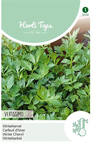 Hortitops 12174 Kerbel Vertissimo Winter (Kerbelsamen)